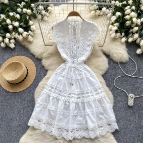 Elegant Hollowed Lace Sleeveless Dress