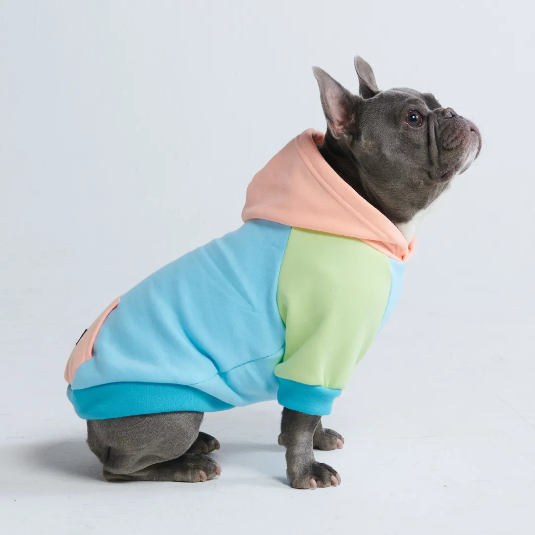 Jelly Bean Dog Hoodie