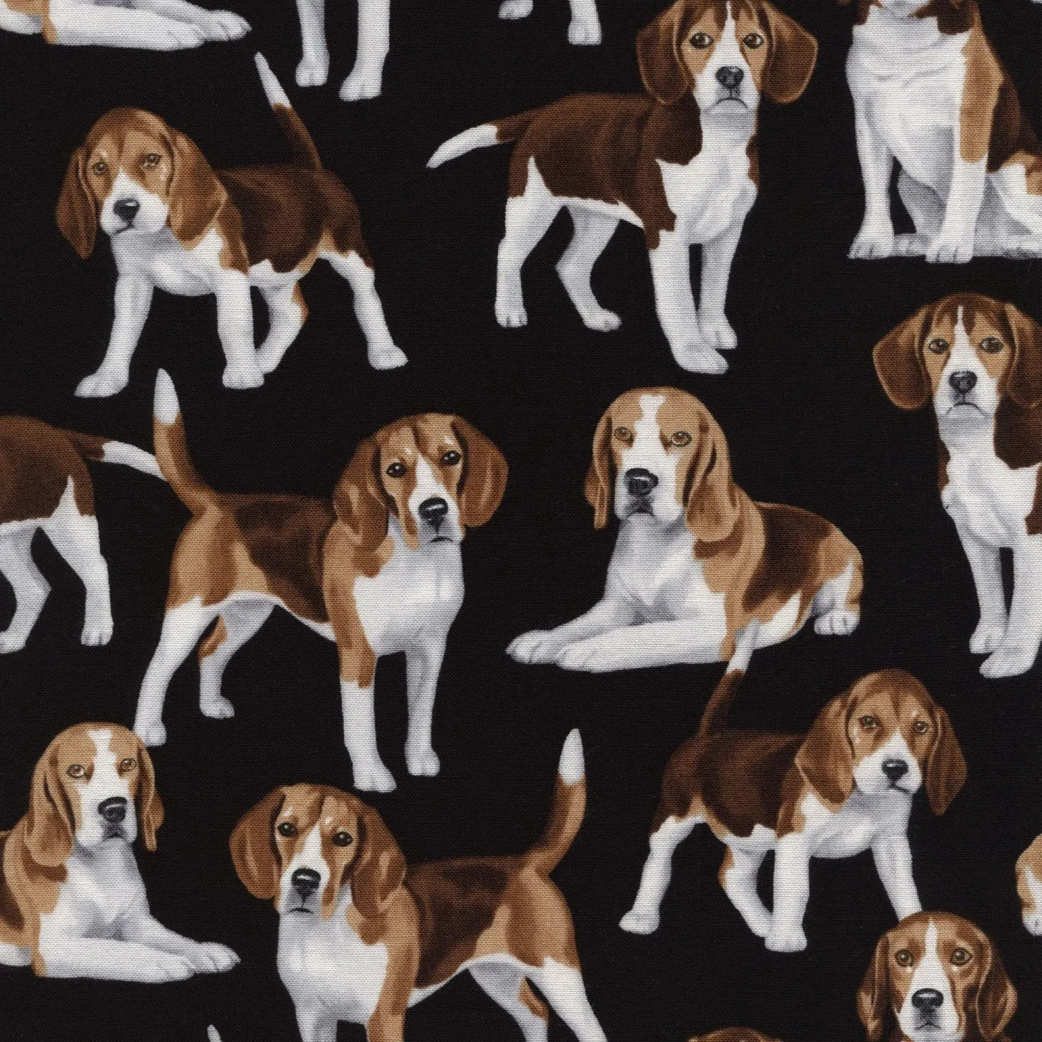 Timeless Treasures Cats and Dogs Fabric