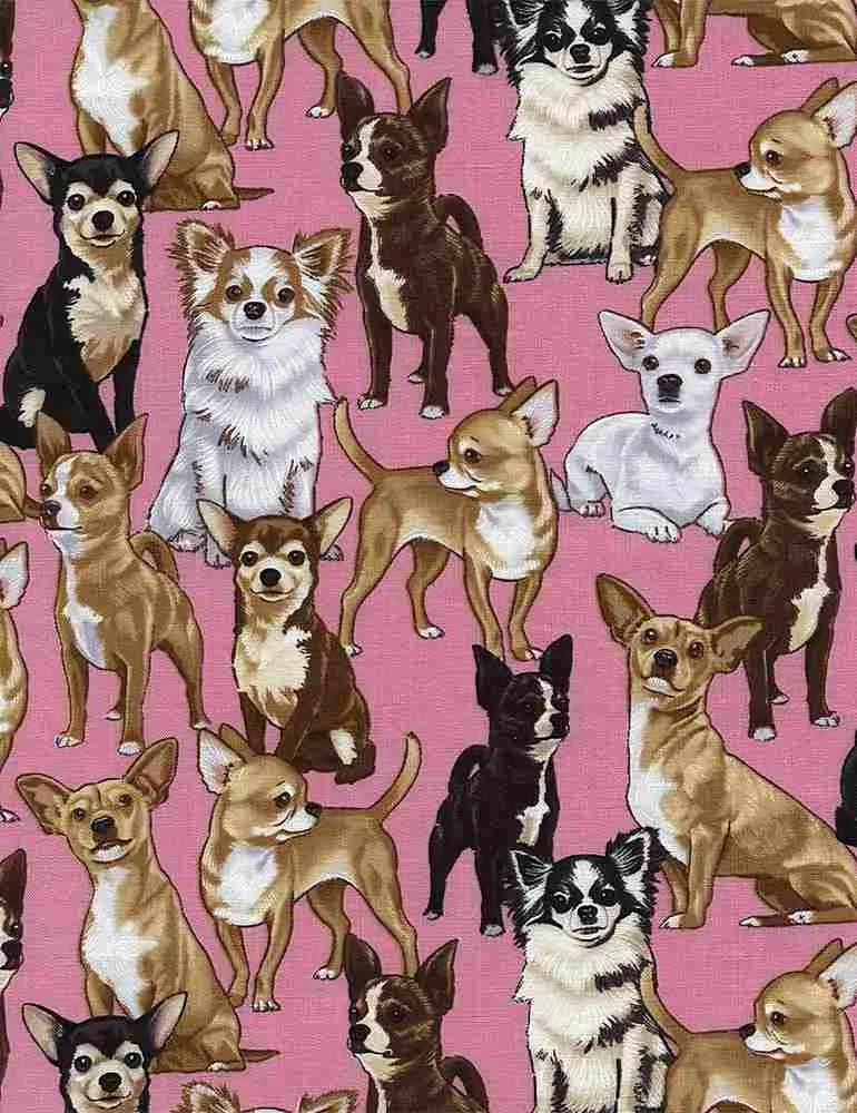 Timeless Treasures Cats and Dogs Fabric